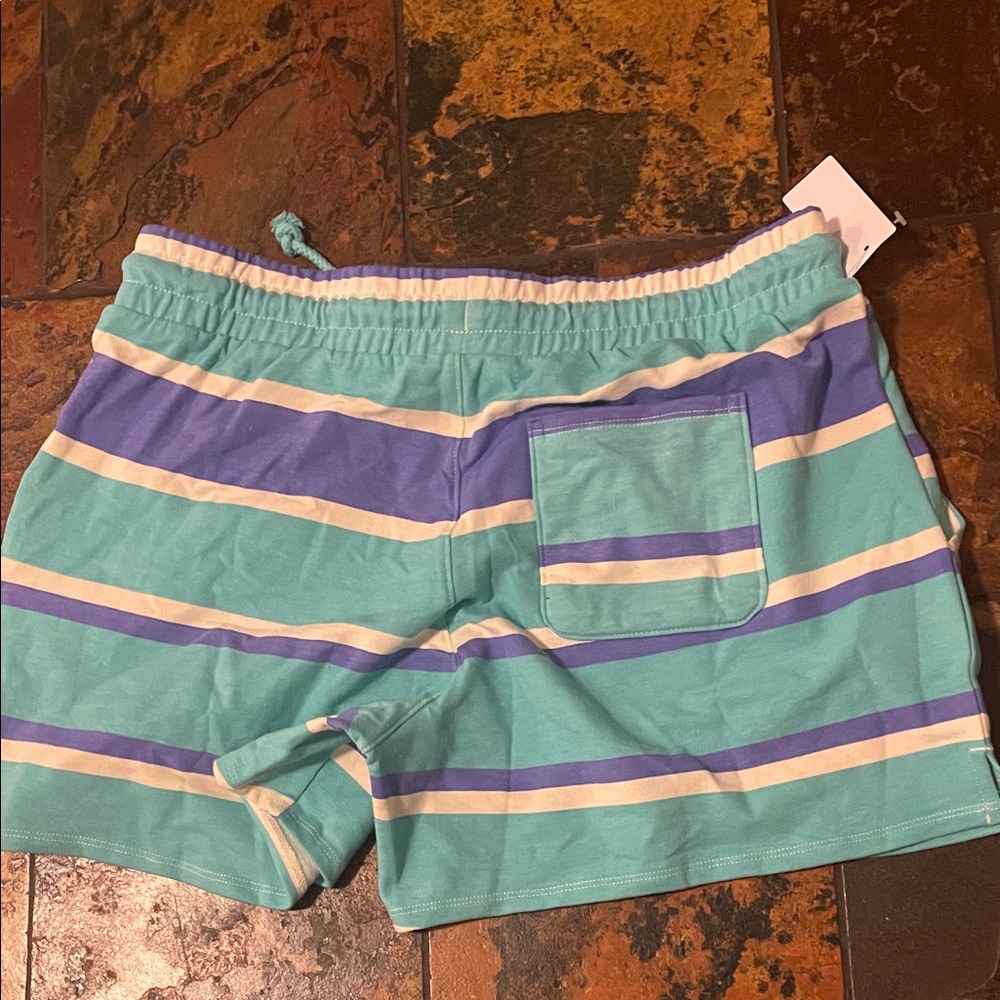 Wildfox Teal and Blue Striped Athletic Shorts (175) - Picture 3 of 4